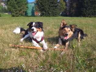 51781142_2192051197521926_8718322155298750464_n