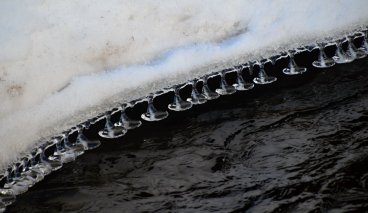 52033740_10205370405896571_3261286586179911680_o