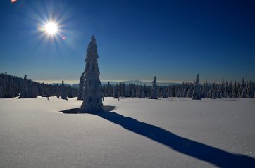 zUZKA PLÁŇ ZAOSTŘENO
